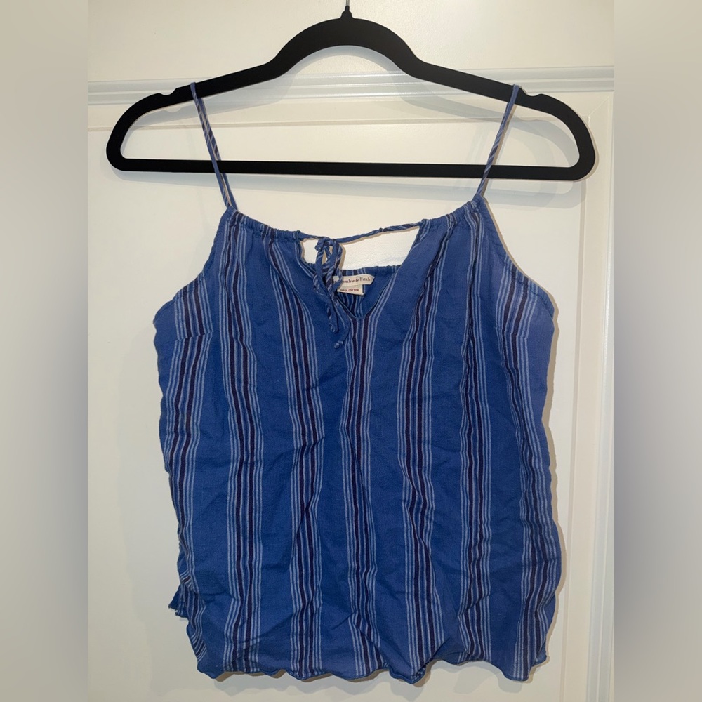 Abercrombie & Fitch Blue Striped Camisole